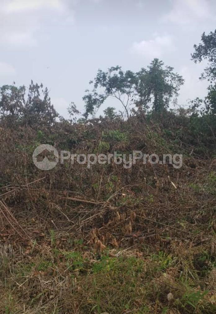 Land for sale Renecon Road, Macaulay Igbogbo Ikorodu Lagos