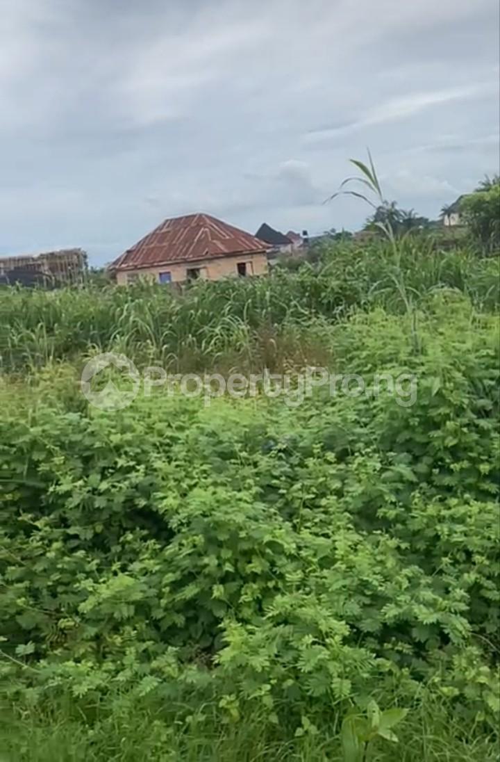 Land in Enugu Enugu Land for sale in enugu Land in enugu