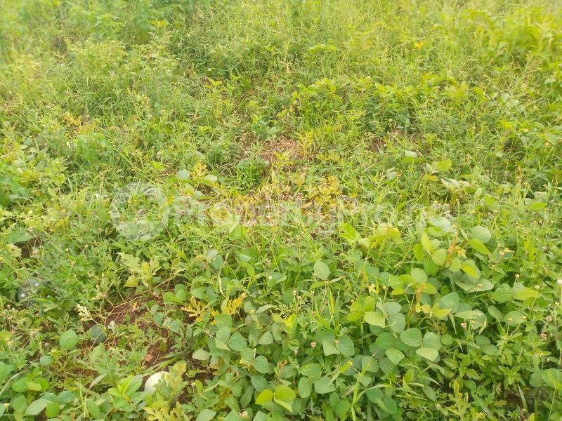 Land in Kaura (Games Village) Abuja Land for sale in kaura(games