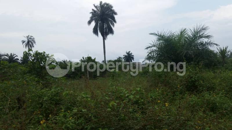 Land for sale New Road, Omuoko Aluu Ikwerre Rivers