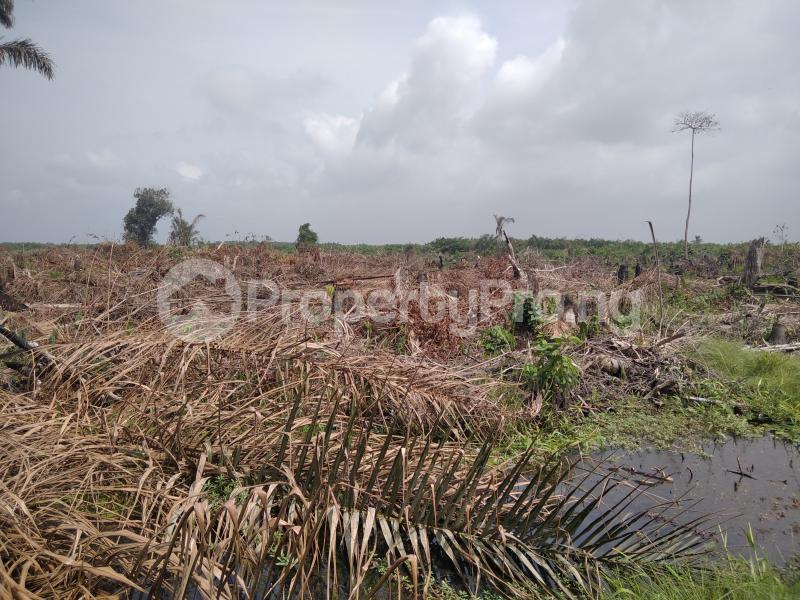 Land for sale Alatise, Along The Express Way Alatise Ibeju-Lekki Lagos