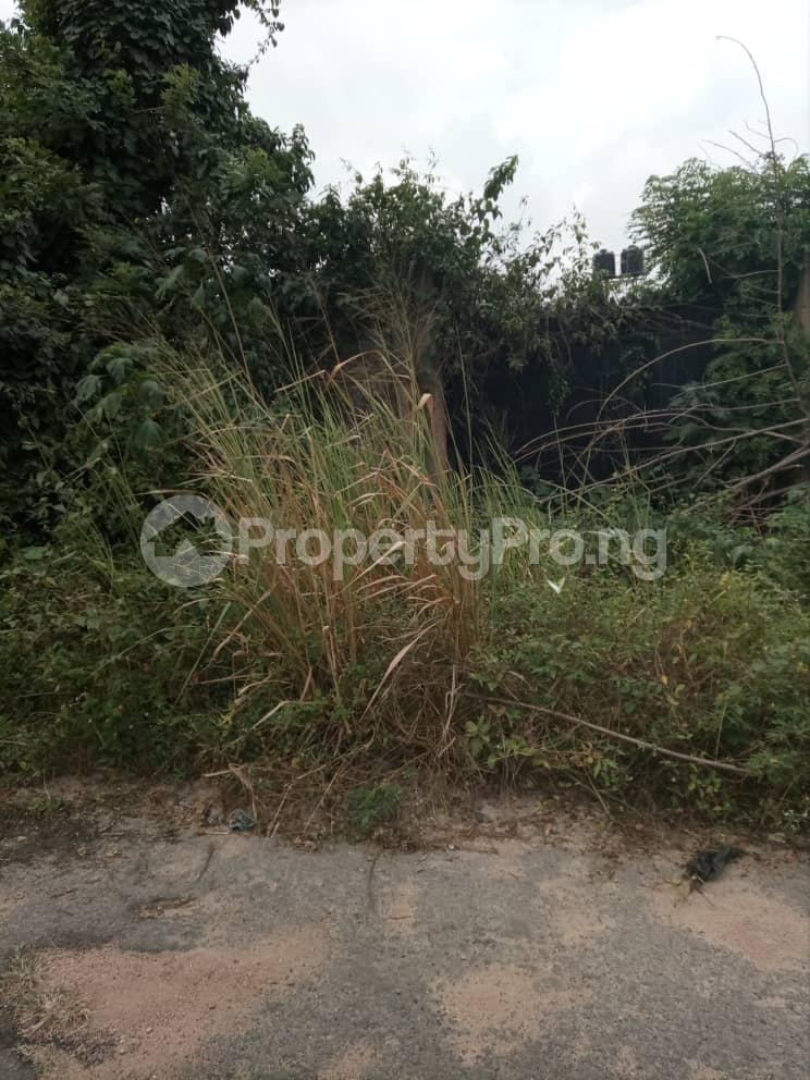 Land for sale Directly Behind Valencia School, Kolapo Ishola Gra Akobo Ibadan Oyo