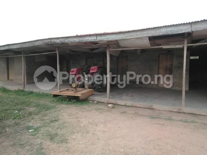 Land for sale Offa-Igbo Lagelu Oyo