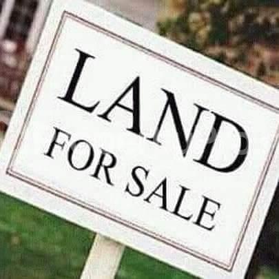 Land for sale Ope Epetimehin Street Okota Lagos