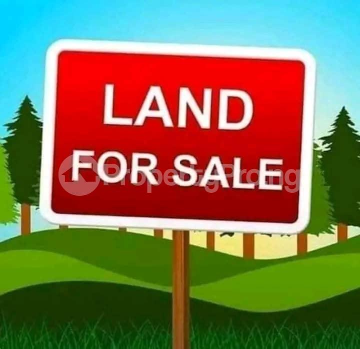 Land for sale Along Egbeda Idimu Road, Egbeda Alimosho Lagos
