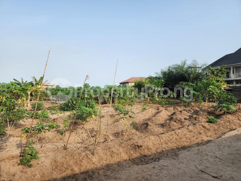 Land for sale Lakowe Road Ajah Lagos