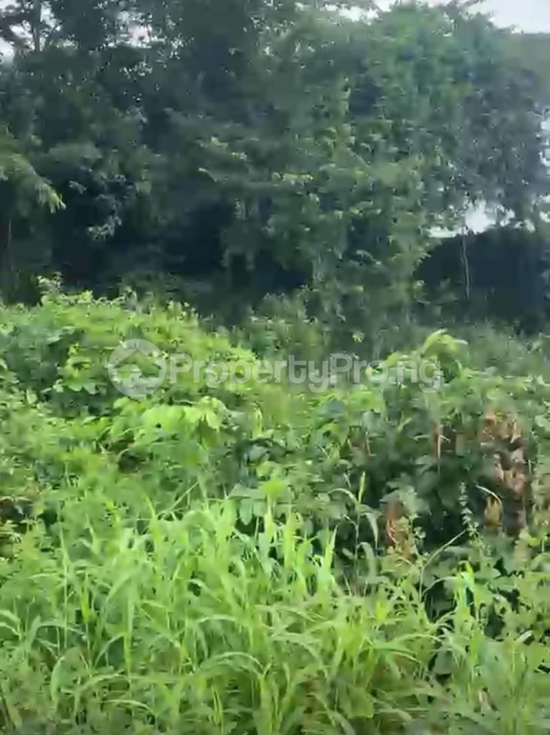 Land for sale Papalanto Ewekoro Ogun