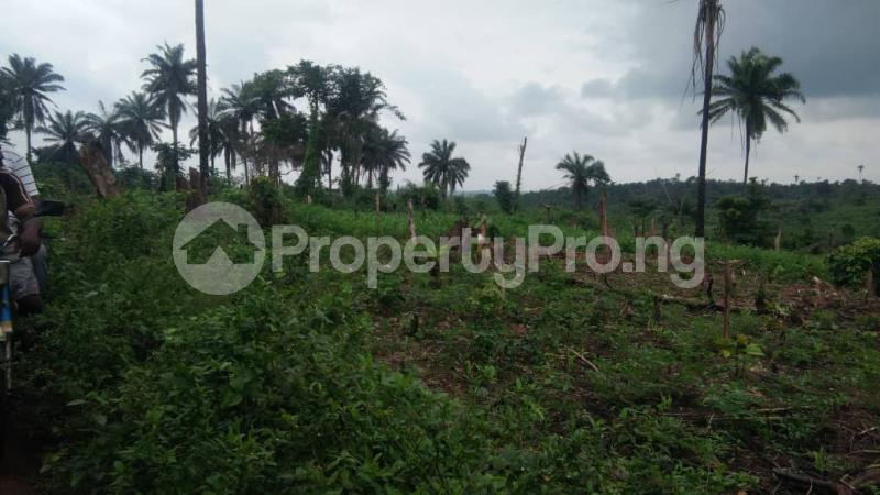 Land for sale Lalupon Lagelu Oyo