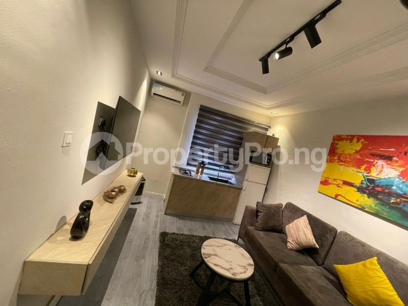 1 bedroom Flat / Apartment for rent Lekki Phase 1 Lekki Lagos