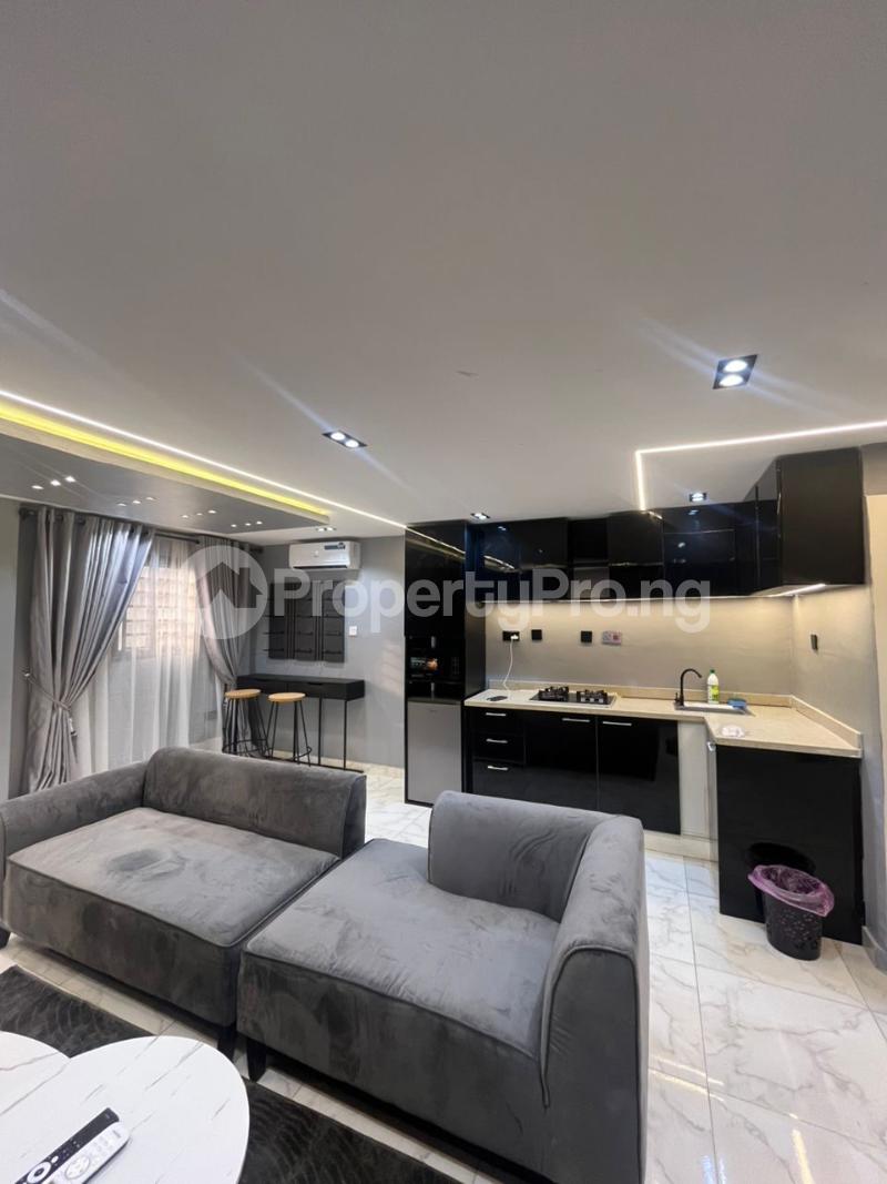 1 bedroom Flat / Apartment for shortlet Lekki Lagos