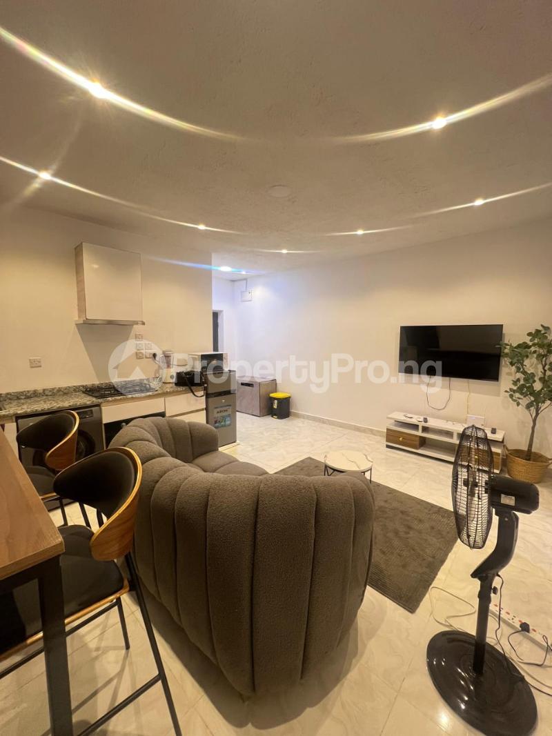 1 bedroom Flat / Apartment for rent Lekki Phase 1 Lekki Lagos