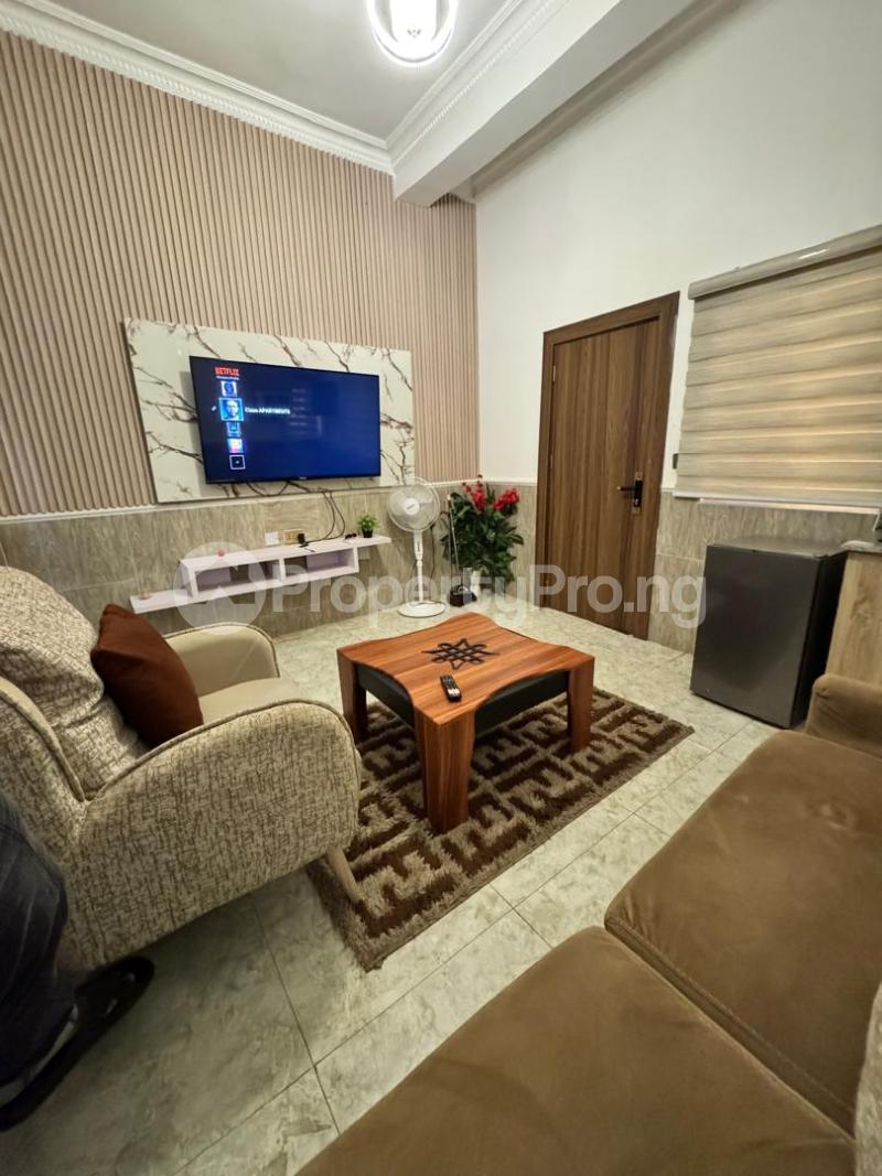 1 bedroom Flat / Apartment for shortlet Zone 1 Wuse 1 Abuja - 4