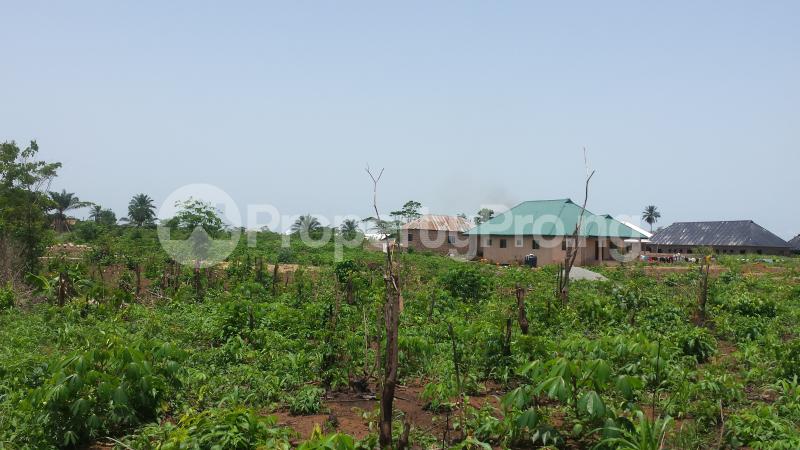 Land for sale 1x2 Leveled Land At Boundary Road, Just At The Back Of Ighuie Pry Sch. Ekenwa,aavailable For Sale At #4,500,000 Negotiable . This Land Is Very Close To The Bus Stop. Oredo Edo - 2