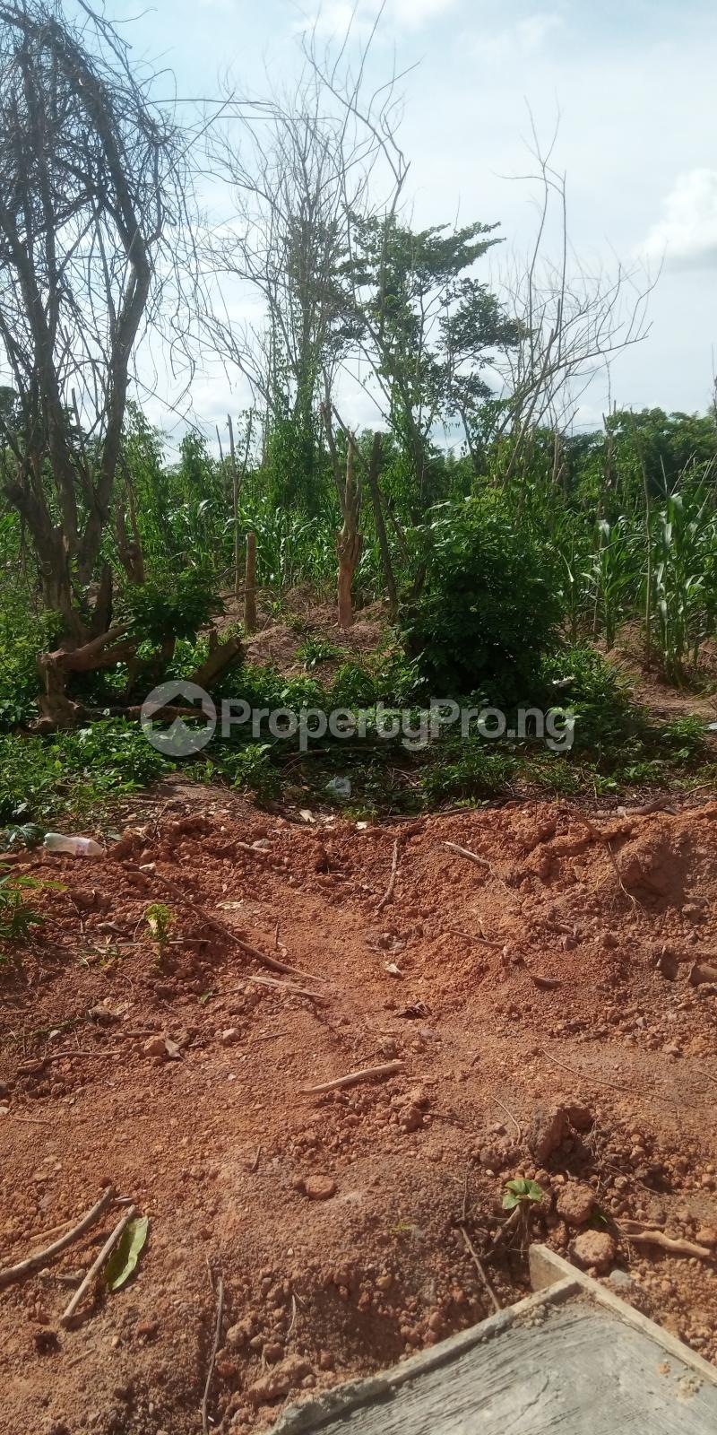 Land for sale Olohunda Akobo Ibadan Oyo
