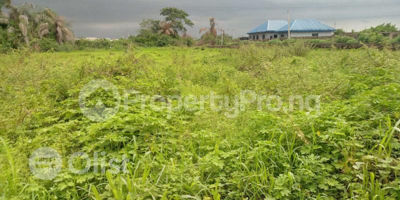 Land for sale 2 Sorowo Str Epe Lagos Epe Road Epe Lagos - 0