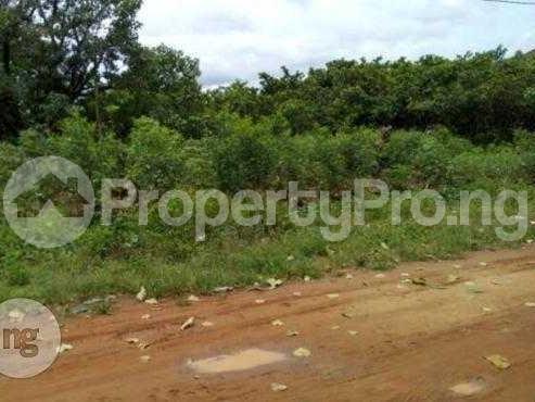 Land for sale Owaelu Ihitte Oha Community, Uratta, Owerri Imo