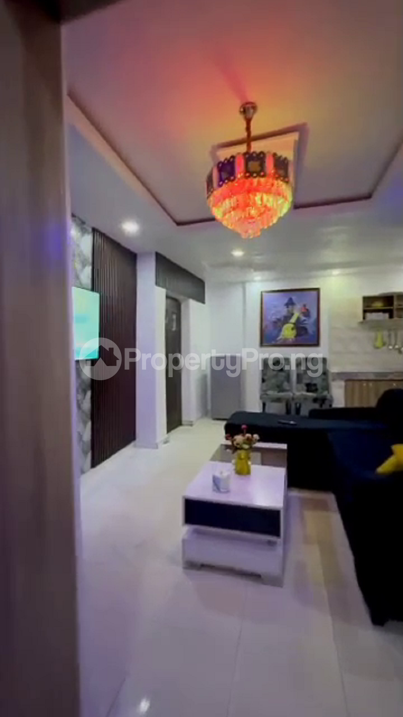 2 bedroom Flat / Apartment for shortlet Ogunlana Surulere Lagos