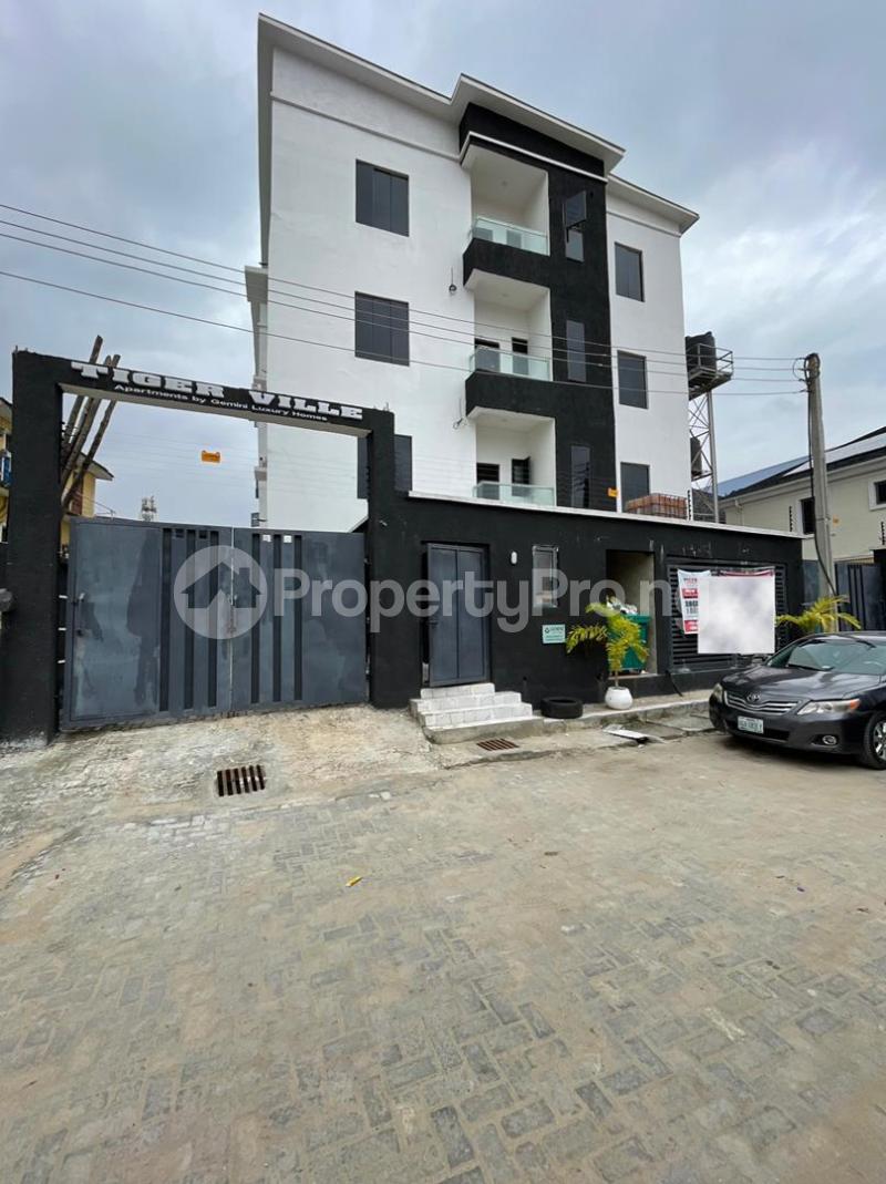 2 bedroom Flat / Apartment for rent Ikate Lekki Lagos - 0