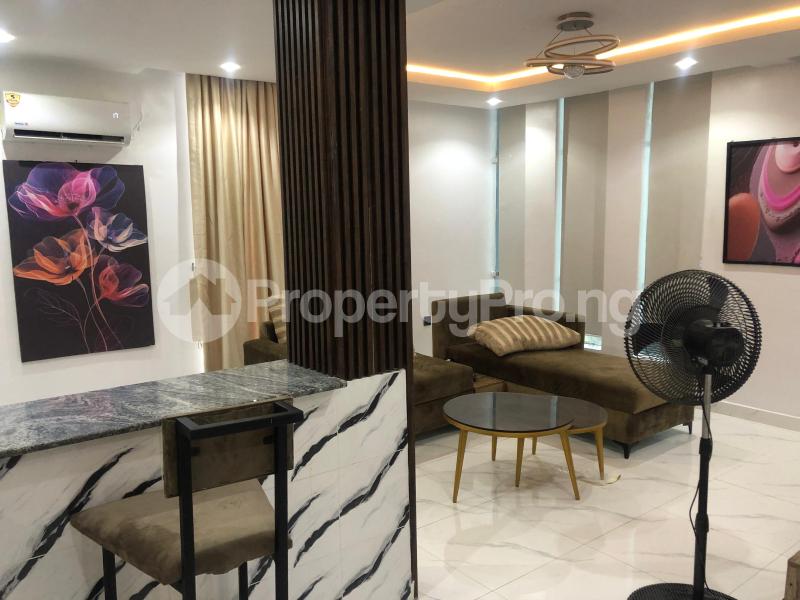 2 bedroom Flat / Apartment for shortlet Surulere Lagos - 13
