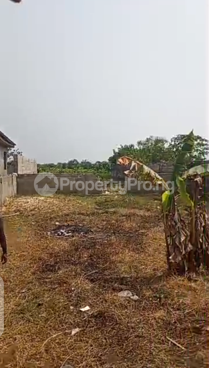 Land for sale Ijagemo Ijegun Ikotun/Igando Lagos - 0