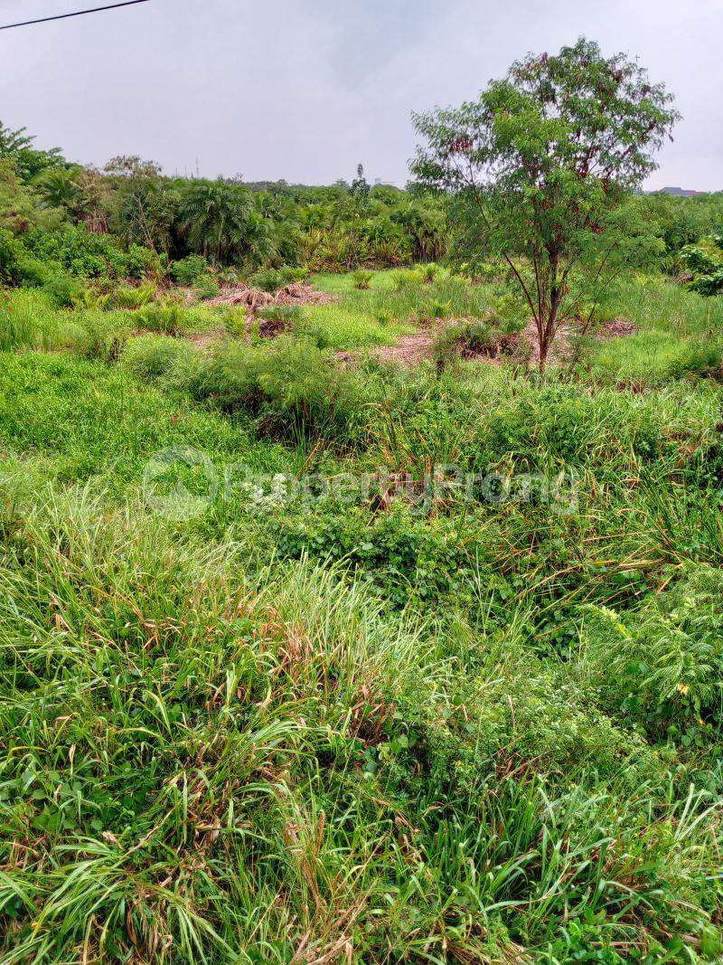 Land for sale Ikorodu Lagos