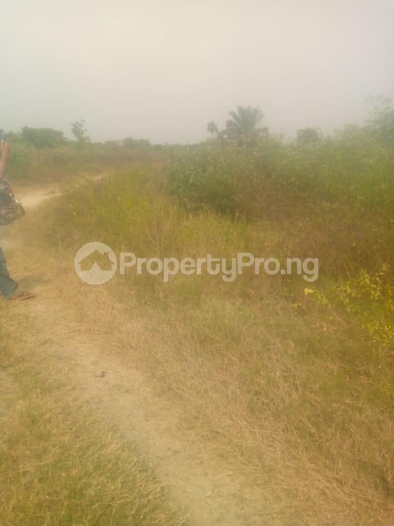 Land for sale 2 Modu Street Owu Ikosi Community Off Imota Road Agbowa Ikosi Lagos State Epe Road Epe Lagos