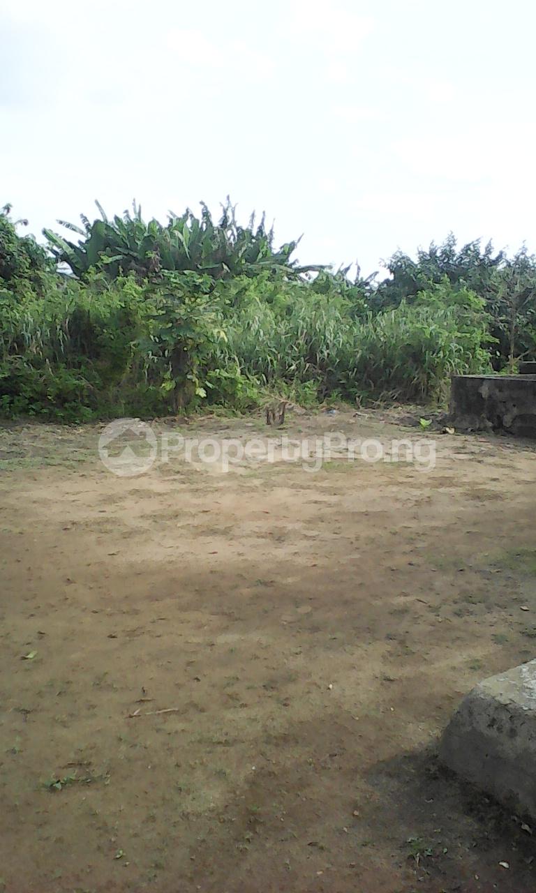 Land for sale Ambassador Obasanjo Farm Ado Odo/Ota Ogun - 0