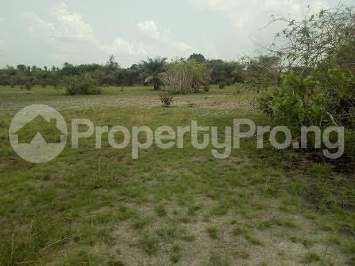 Land for sale Okanla Around Olokanla Orolu Osun