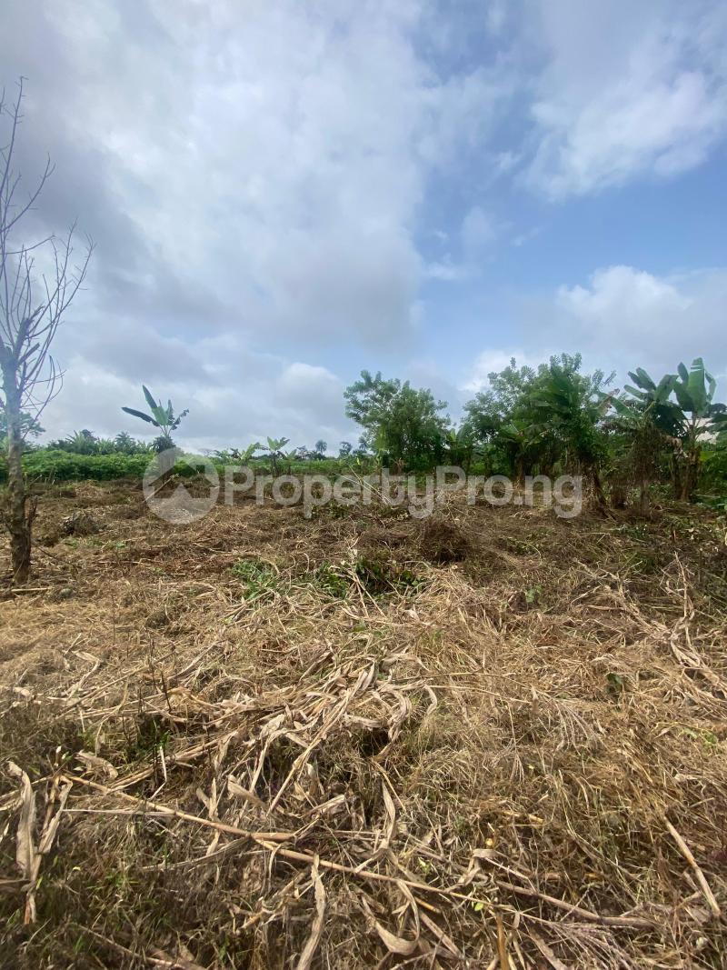 Land for sale Leading Edge Nursery & Primary School, Ibule Akure Ondo