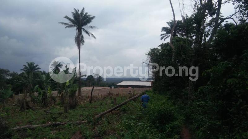 Land for sale Odo Ona Elewe Akala Express Ibadan Oyo
