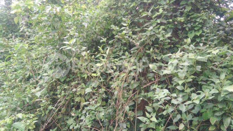 Land for sale Ire Akari Estate Soka Akala Express Ibadan Oyo