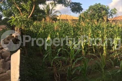 Land for sale Airport Area Ilorin Kwara - 0