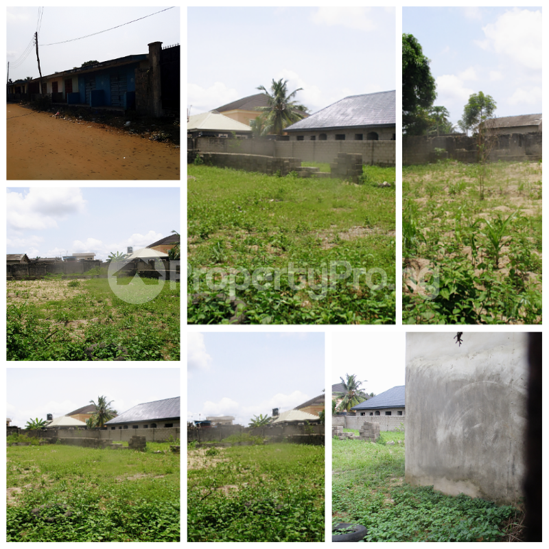 Land for sale Iyanera, Ketu Ijanikin, Agbara Alaba International Okokomaiko Ojo Lagos - 0