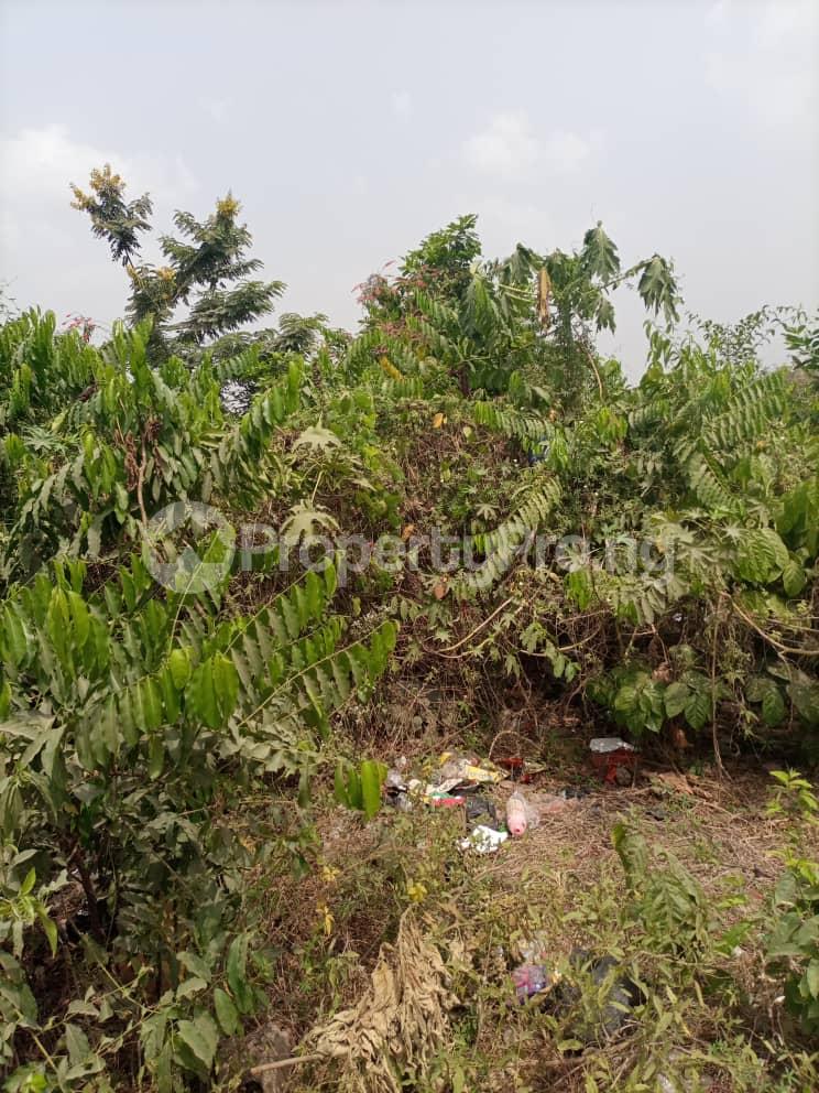 Land for sale Akinlapa Estate Apata Ibadan Oyo