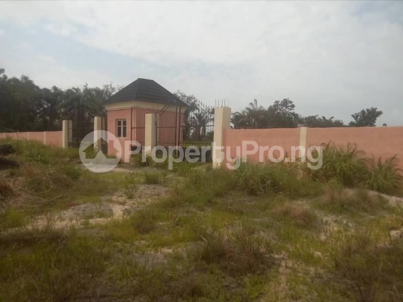 Land for sale Opposite Green Estate Apple junction Amuwo Odofin Lagos