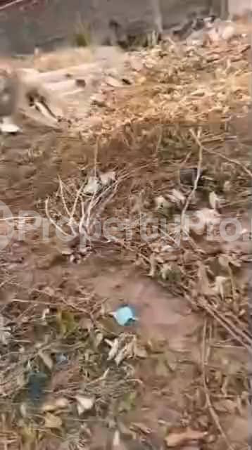 Land for sale Iju-Ishaga Agege Lagos