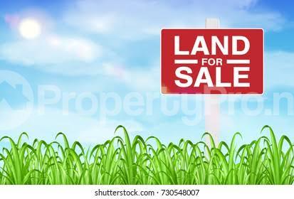 Land for sale Developing Area Ologolo Lekki Lagos