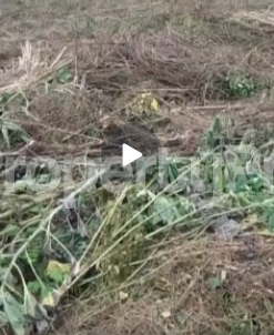 Land for sale Olola Arapaja Odo Ona Kekere Area Ibadan Oyo - 0