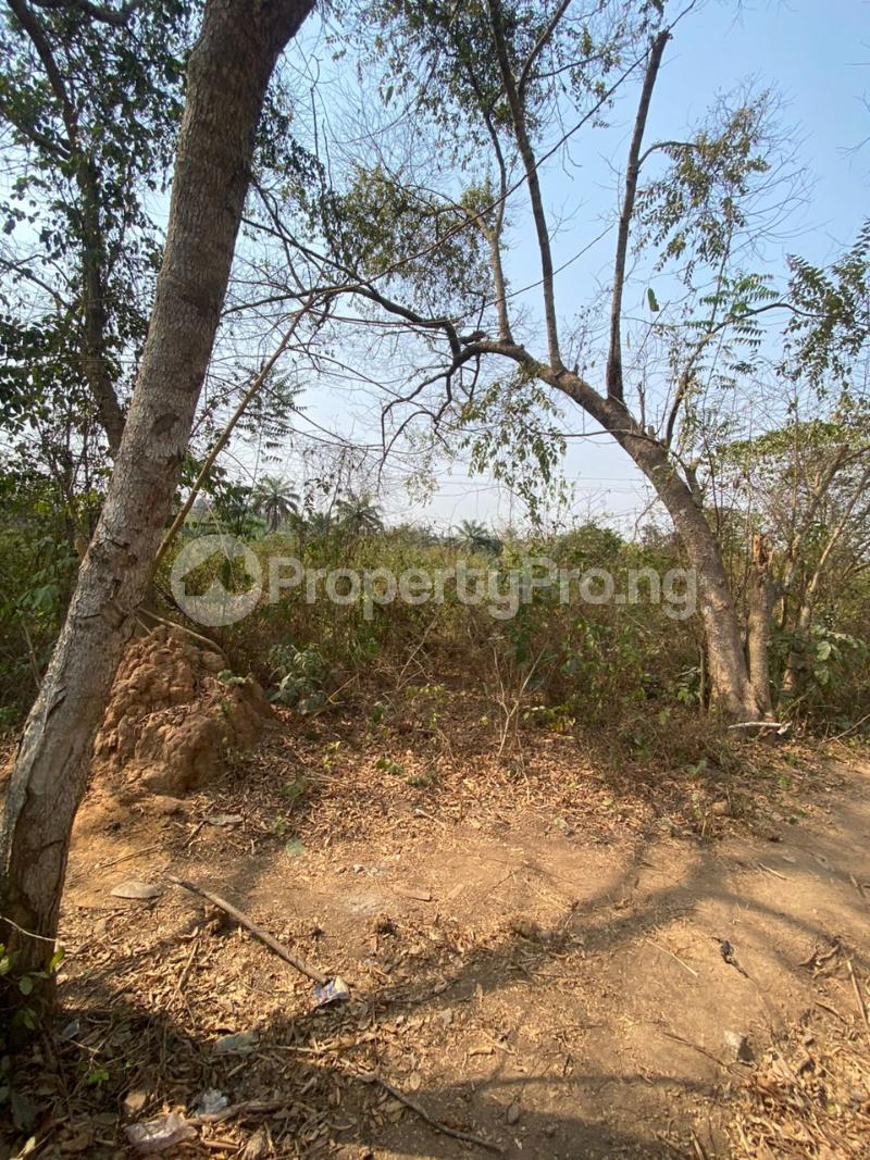 Land for sale S&d Osiele Abeokuta Ibadan Expressway Abeokuta Ogun