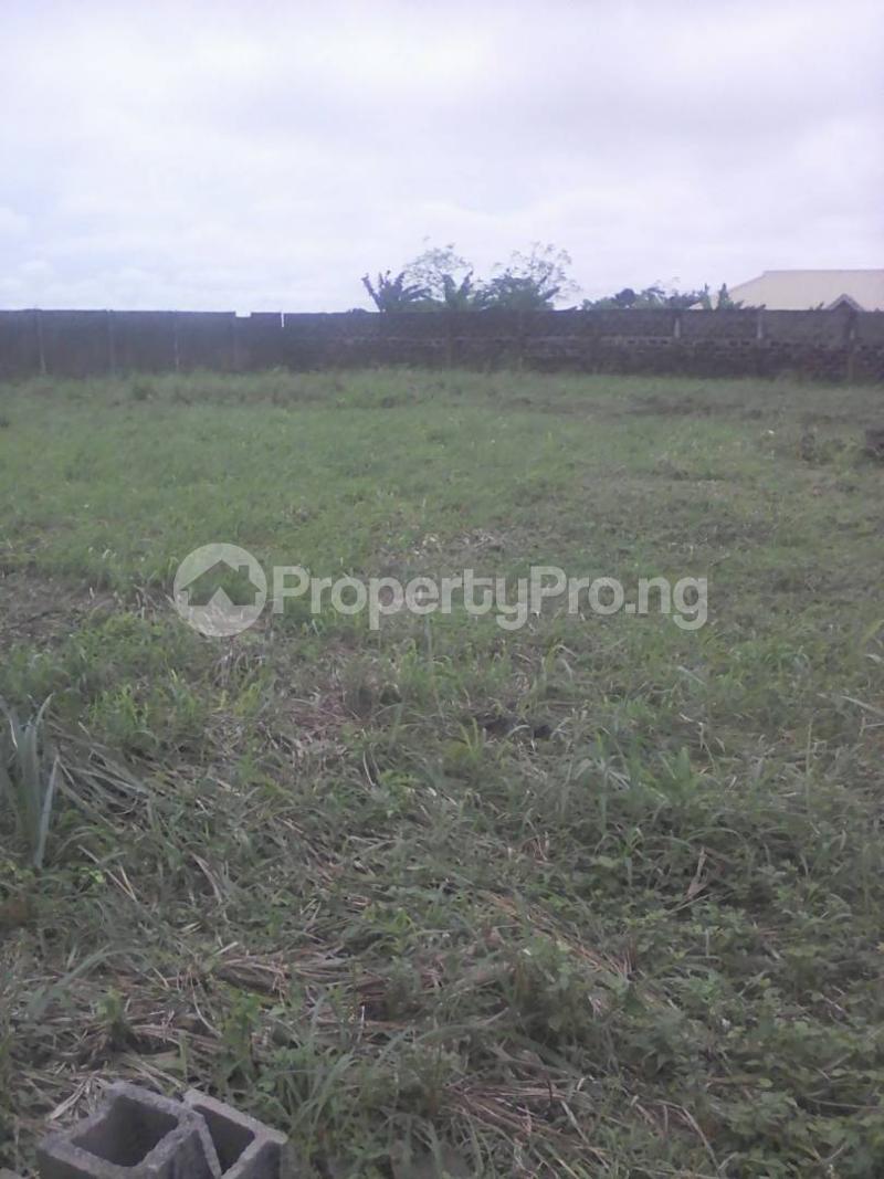 Land for sale Milano Properties Along Eleko Before The Junction On The Road Eleko Ibeju-Lekki Lagos - 0