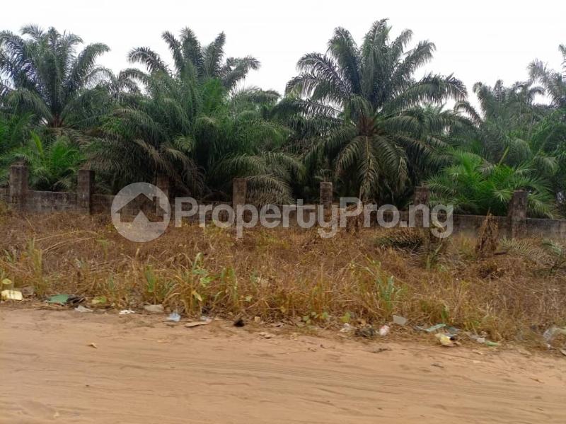 Land for sale Location: Obayantor 2 , Sapele Road, Benin City. Ikpoba - Okha Edo