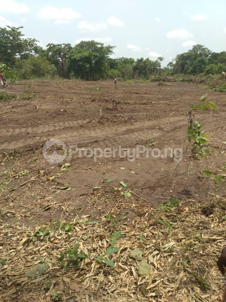 Land for sale Ez Farming Estate Ola-Oluwa Osun