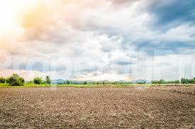 Land for sale Ligali Ayorinde Victoria Island Lagos