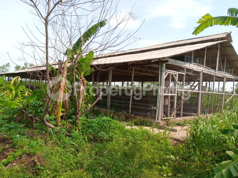Land in Eleyele Ibadan Oyo Land for sale in ibadan Land in ibadan