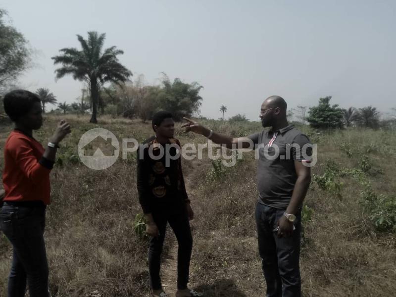 Land for rent Land For Sale At Ekowe Community For Industry Egor Edo