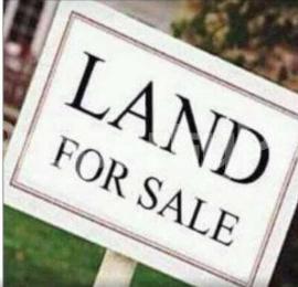 Land for sale At Onipanu Ikorodu Road (ilupeju) Ilupeju Lagos