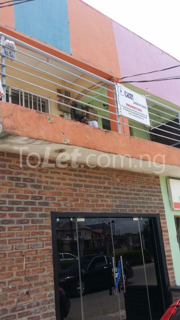 Commercial Property for rent Agungi, Lekki Lekki Lagos