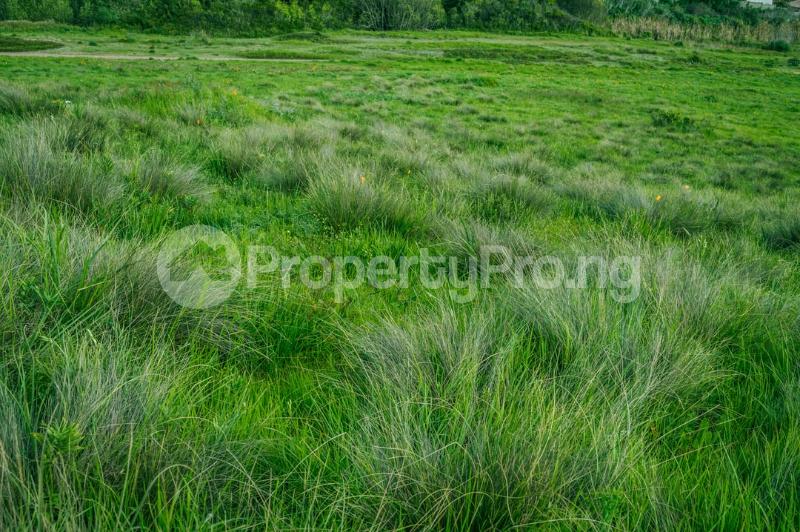 Land for sale Millenton Avenue. Ikoyi Lagos