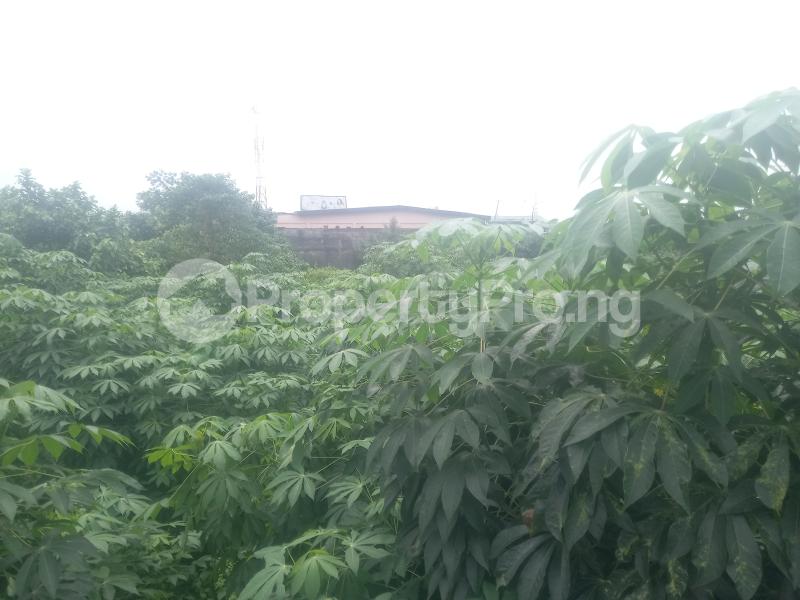 Land for sale Maplewood Estate Oko oba Agege Lagos