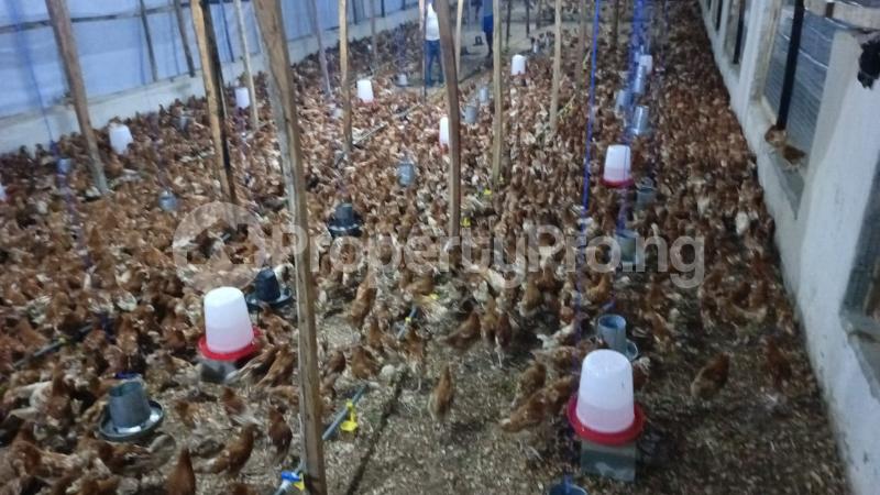 Land for sale Poultry Cluster Estate With Modern Poultry Facilities In Igbodu Epe Lagos - 0